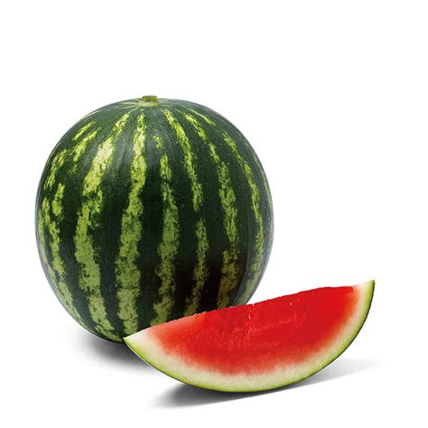 Belinda | F1 Seedless Mini Watermelon Seed - ActiveVista for Market ...