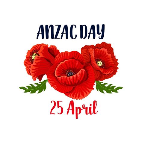 Anzac Day poppy vector 25 April Australian icon 13005965 Vector Art at ...