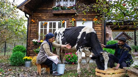 Cheesemaking - Making Cheese From Fresh Cow's Milk - YouTube