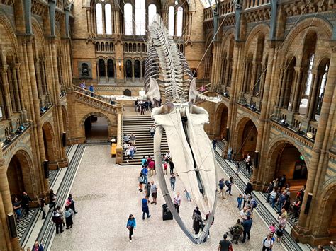 Family London: tips for visiting the Natural History Museum with a ...