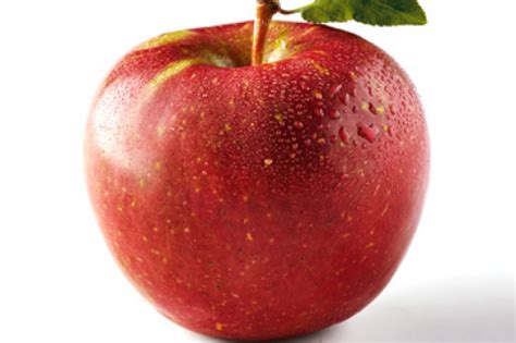 Ten secrets of Fuji apples. By Sarah Hobbs - How To Guides ...