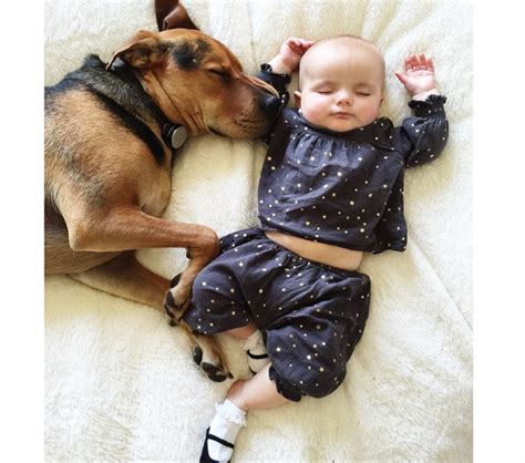 10 Puppies Desperately in Love with Babies | The Dog People by Rover.com