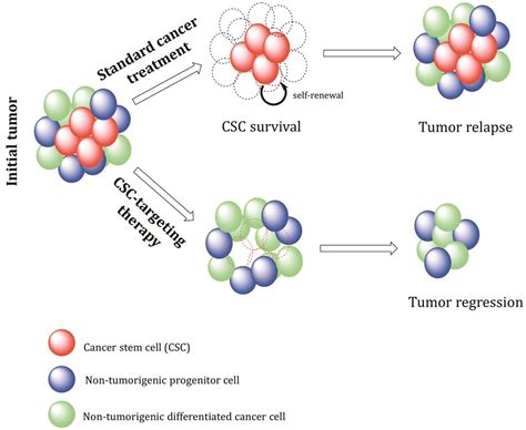 Pharmacology | CRS | Paul Scherrer Institut (PSI)