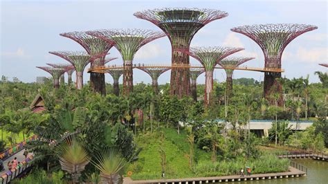 Gardens by the Bay | Triptipper.com