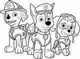 Paw Patrol Coloring Book Bundle Kids Pages  Etsy sketch template