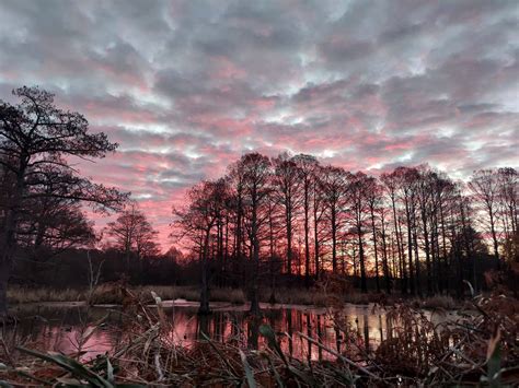 Tradition and History of Reelfoot Lake - HD Guide Service