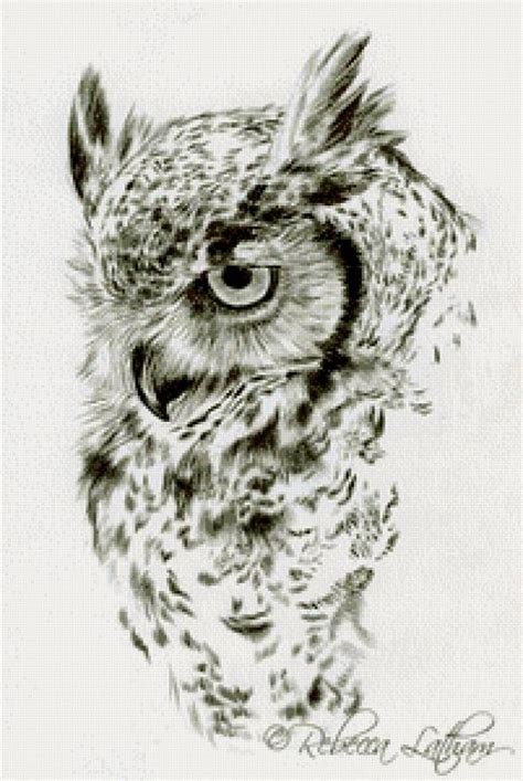 Google Traduction | Owls drawing, Bird drawings, Animal art prints