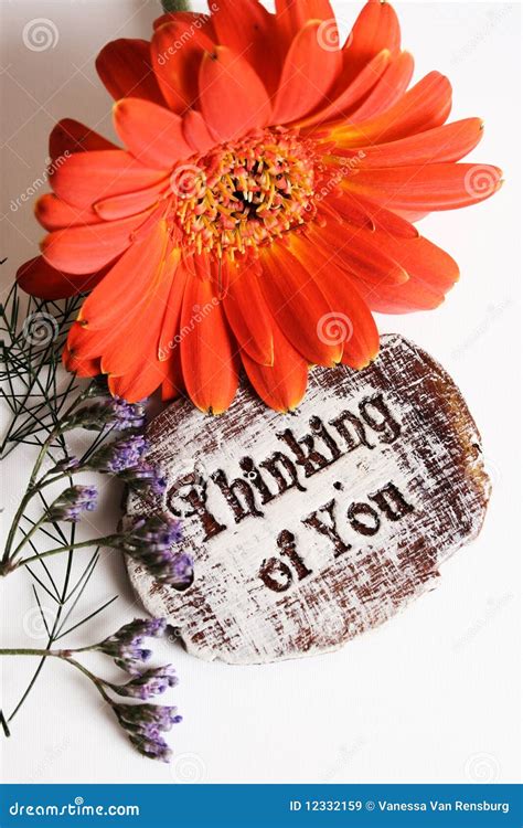 Thinking of You stock image. Image of decoration, gift - 12332159