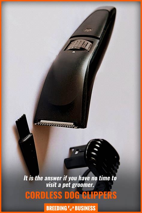 11 Best Cordless Dog Clippers – Reviews, Battery, Sound, Speeds & FAQs