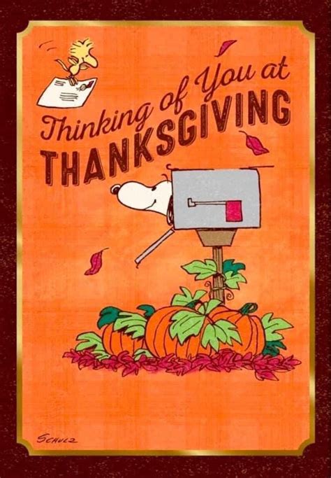 Pin by Debby Donlon on Peanuts cartoons | Thanksgiving messages, Happy thanksgiving quotes ...