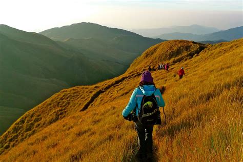 Long Trekking Adventure Up Mt. Pulag, Philippines