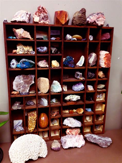 My rock collection at the lab :) | Rock collection display, Mineral collection display, Diy painting