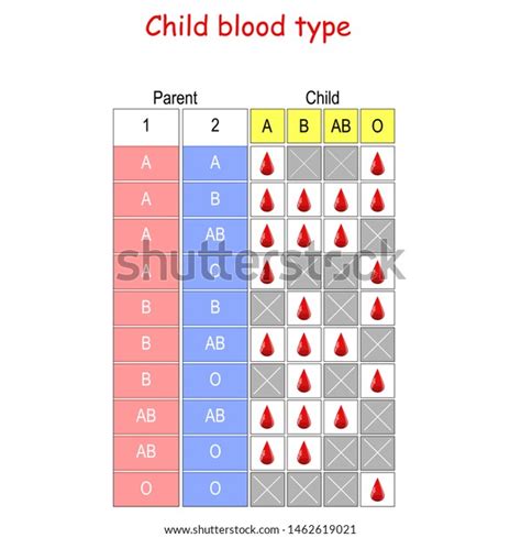 Child Blood Type Chart How Mother: vector de stock (libre de regalías ...