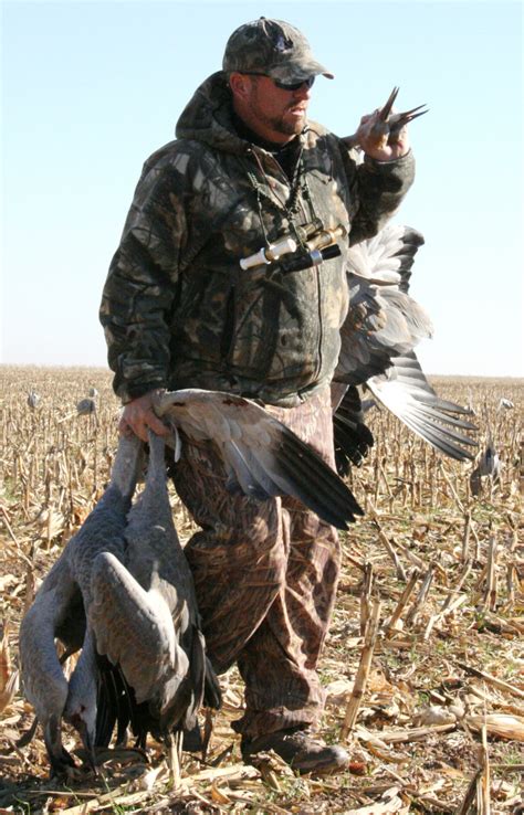 Texas sandhill crane hunters must have permit to pursue 'ribeyes in the ...