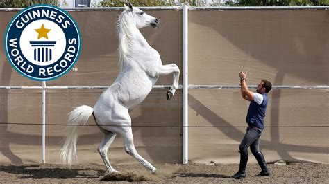 Records Guinness animales que te impresionarán - Fundación Aquae