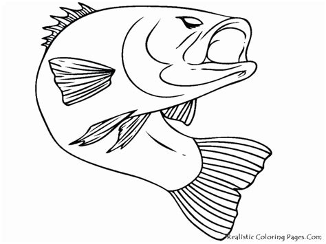 Salmon Coloring Pages at GetColorings.com | Free printable colorings pages to print and color