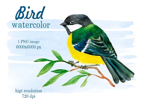 Watercolor drawing of a bird By OnCloudArtist | TheHungryJPEG