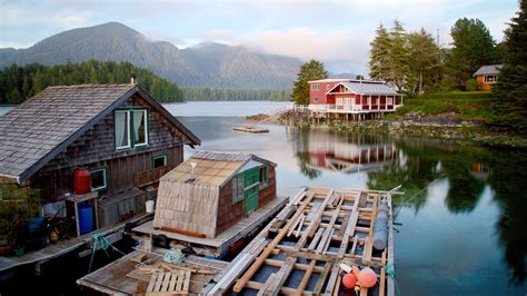 Tofino, BC Vacation Rentals: cabin rentals & more | Vrbo