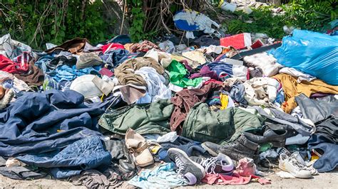 Our Clothes Are Polluting the Environment. Here’s a Solution. | College of Natural Resources News