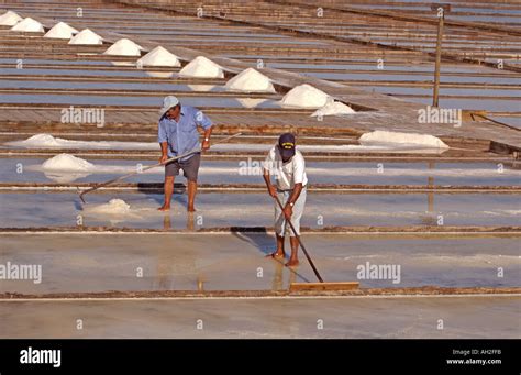 Traditional Sea Salt Production in the salina Municipal do Corredor da Cobra - EcoMuseu do Sal ...