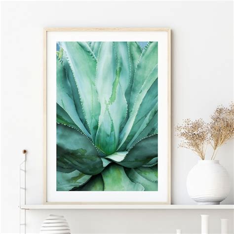 Succulent Wall Art - Etsy