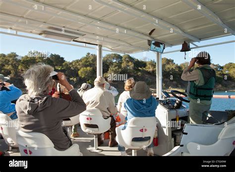 Wildlife Boat Tour, Cachuma Lake, Santa Ynez Valley, California, United States of America Stock ...