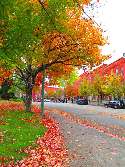 Exploring Canada: A Photo Essay of Sherbrooke, Quebec - Young and Undecided | Sherbrooke ...