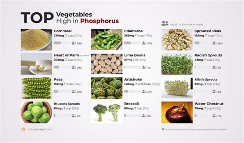 Vegetables High in Phosphorus | Vegan nutrition, Vitamin a foods, Nutrition