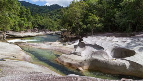 10 Scenic Trails For Hiking In Cairns In 2023