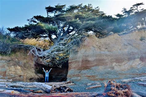 Kalaloch Campground Makes the Perfect Family Getaway - Travelffeine