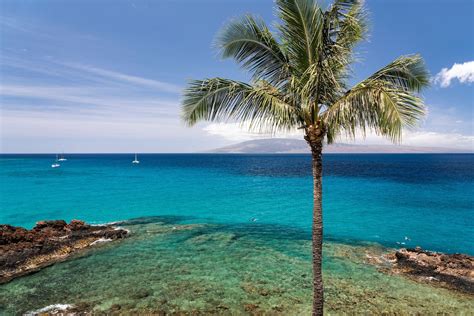 Sheraton Maui Resort & Spa Reviews, Deals & Photos 2023 - Expedia