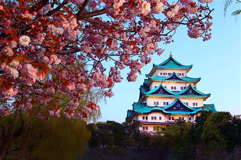 Nagoya-jō | Nagoya, Japan Attractions - Lonely Planet