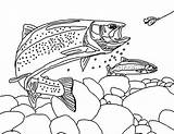 Apache Trout Chasing Fisherman Bair Coloring Pages  Best Place To Color sketch template