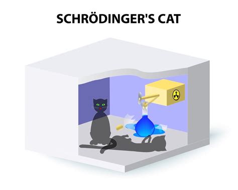 Is Schrödinger's Cat Dead Or Alive? » Science ABC