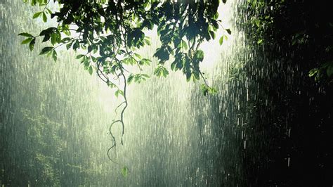 lluvia wallpapers hd - Buscar con Google | Plou | Pinterest | Lluvia, Buscar con google y Buscando