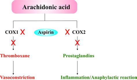 Aspirin – Drug Details