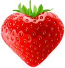 Strawberry PNG Clip Art | Gallery Yopriceville - High-Quality Images and Transparent PNG Free ...