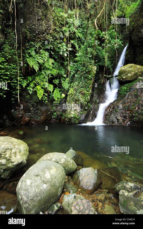 Waterfall making its way into a pond in the rainforest Stock Photo - Alamy