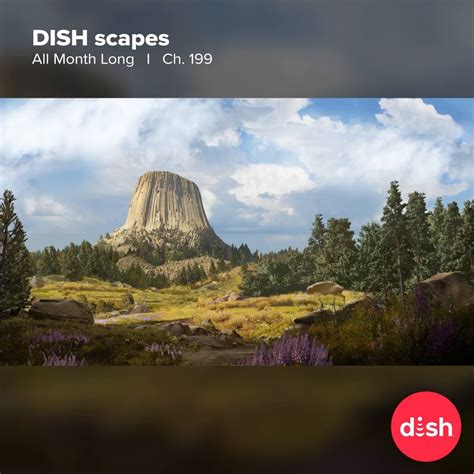 DISH scapes | More things have appeared in this month's DISH scapes ...