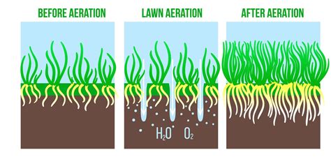 What is Lawn Aeration, and Will It Be Beneficial For Your Property? - Huskie’z Landscaping