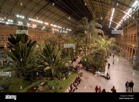 tropical garden in Atocha train Station Stock Photo - Alamy