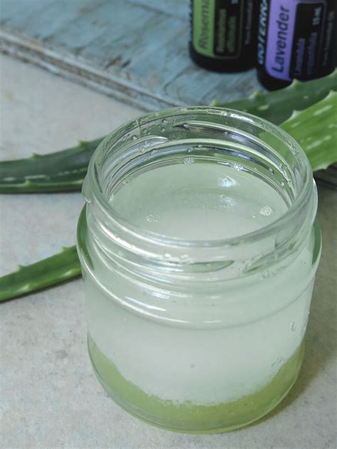 Aloe Vera Hair Mask with coconut oil for long hair - Lavender Gypsy