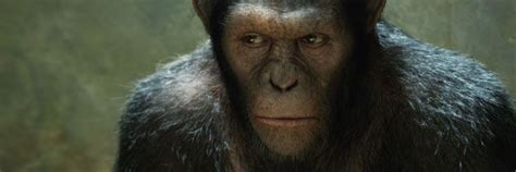 Sequel to rise of the planet of the apes - hohpasurfer