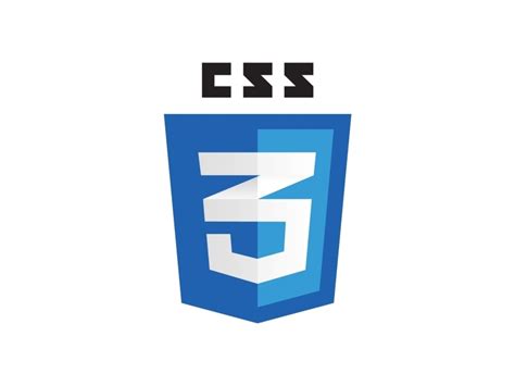 Css3 Vector Logo