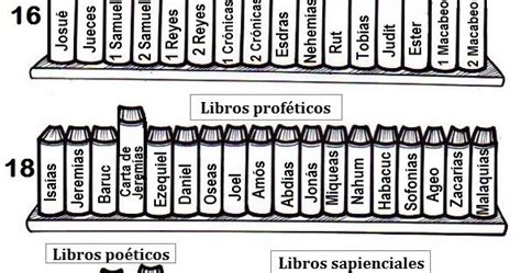 Reflejos de Luz: Los libros de la Biblia | Libros de la biblia, Biblia ...