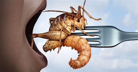 Insects for Dinner: Potential Benefits for Gut Health and Food Security