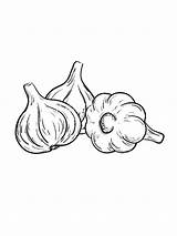 Garlic coloring Pages sketch template