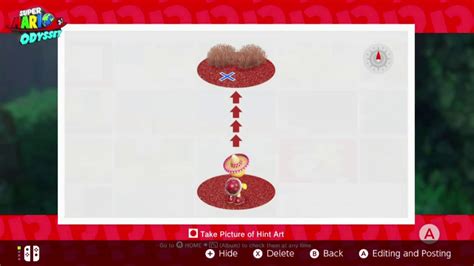 Found With Wooded Kingdom Art - Super Mario Odyssey - YouTube