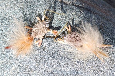 Sidewinder Crab Fly Fishing Earrings | Stewart Jewelry Designs