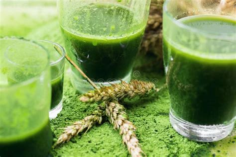 A Glass Of Barley Grass Juice With Young Barley Grass And Powder Stock ...